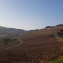 남수농장 이미지