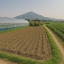 흥동 농장 이미지