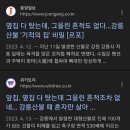 돼지삼형제 이미지