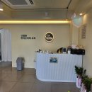 라이프독 강릉점 24시 강아지분양 고양이분양 이미지