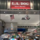 도그앤푸드 이미지