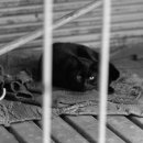 맨션세탁소 이미지