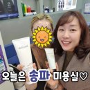초이스인셀덤