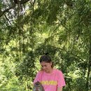 블루몽키 이미지