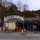 둥지식당 | 둥지식당 | 강릉 숨겨진 백반 맛집 오징어볶음 제육볶음 맛집 내돈내산 솔직후기