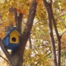 선녀와 나무꾼의 힐하우스 이미지