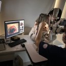 정자프라임동물병원 | 분당정자동물병원 동양안충, 단순 결막염으로 넘기면 위험합니다.