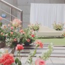 마크앤제니 이미지
