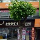 이노티안경북항점 이미지