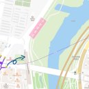 세븐일레븐 호수생태원점 | 서울 벚꽃 명소 추천 - 안양천 벚꽃길(가는 길, 실시간 벚꽃 개화 상황, 포토존 등 코스 추천)