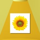 행운게임방 이미지