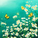 나비프라자 이미지