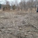 이화봉농장 이미지