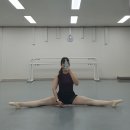 5/8 발레 일기