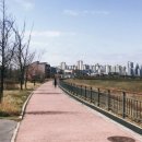 수담한의원 | 수담환 블랙으로 60대 아빠 기력회복한 찐 후기