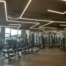 (주)짐캐리 이미지