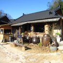 가랑잎새 이미지