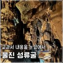 성류굴주차장(북부2) | 울진 여행 성류굴 방문 후기 아이랑 가기 좋은 곳