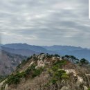 6월 산행 미리안내 -100대명산 경북문경 대야산 (930m) 힐링산행^^ 이미지