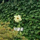 ♥ 부산 시내 여행도 볼거리 ♥