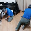 위생방역공사