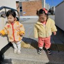 창말체육관 이미지