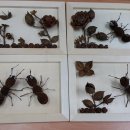 예림초등학교 이미지