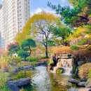 청담조경