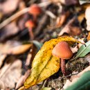 서곡낚시터 이미지