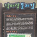 과천성당 건너편 버스정류장 티스토리