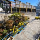 갈라펜션 | 이번 연초모임장소로 만족감이 좋았던 단체펜션 후기