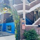 금비디오 이미지