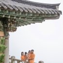 복곡 | 남해 가볼만한곳 보리암 주차 방문정보 설리스카이워크 아이랑 후기