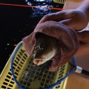 죠스실내낚시터 이미지