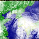 불어라 동남풍 이미지