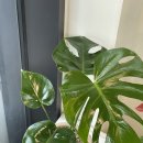(주)아산플랜트