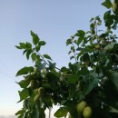 황토현마을 이미지