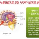 밸런스브레인노원센터 이미지