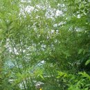 동리 농장 이미지