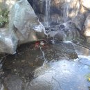 김녕관광지 이미지