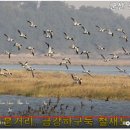 공유게스트하우스 이미지