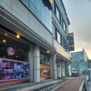 한우실비식당 | 태백 한우 현지인 맛집 태백한우골실비식당 후기!!