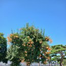 물바위송어장 이미지