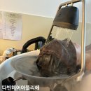 다빈헤어아뜰리에