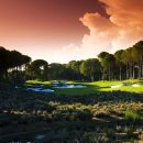 글로리아골프 이미지