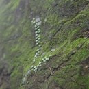 산내들내 이미지