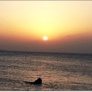 모악농장 이미지