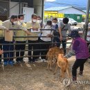 장교축산 이미지