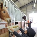 주호농장 이미지