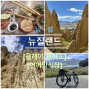 동원카전기 | 뉴질랜드 남섬 두배로 즐기기! 클레이 클리프와 연어양식장(서이추환영)